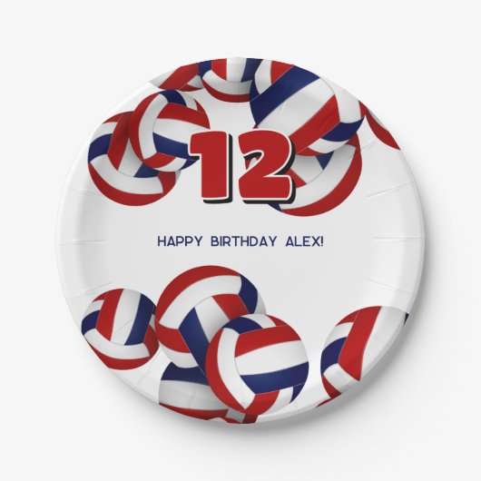 Blaue Volleyballs Jungs Geburtstagsparty Pappteller (Vorderseite)