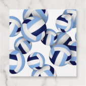 Blaue Volleyballs Kindergeburtstag Party Geschenkanhänger (Rückseite)