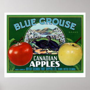 Blaue Waldhuhn Kanadische Äpfel Poster