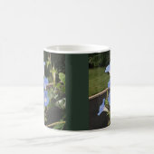 Blaue Wasserfall-Prunkwinde Kaffeetasse (Mittel)