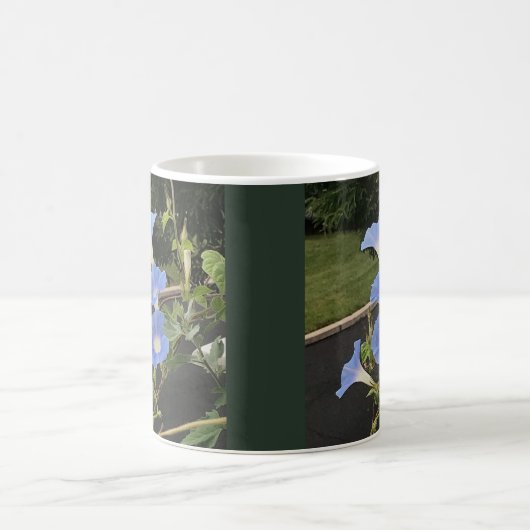 Blaue Wasserfall-Prunkwinde Kaffeetasse (Mittel)