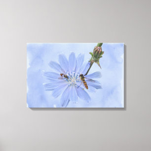 Blaue Wegwarte Wildblume und Bienenimitationen Leinwanddruck