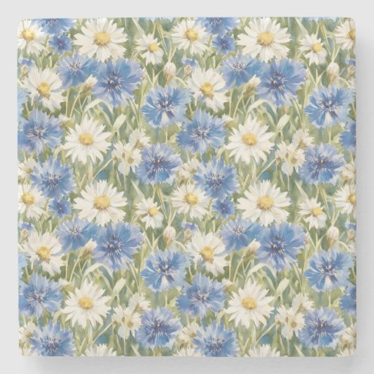 Blaue Weiße Margeriten Blumen Steinuntersetzer (Vorderseite)