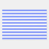 Blaue, weiße Matching-Muster Gingham Dots Streifen Geschenkpapier Set (Vorderseite 2)