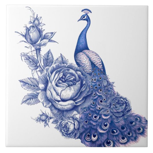 Blaue Weiße Pfauenrose Fliese (Vorderseite)