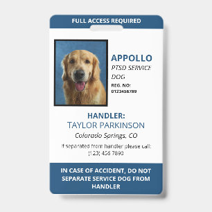 Blaue Weiße Servicehund-Foto-ID Ausweis