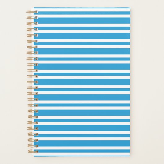 Blaue weiße Streifenmuster Planer (Vorderseite)