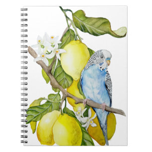 Blaue Wellensittich im Zitronenbaum Aquarell Botan Notizblock