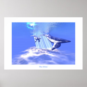 BLAUE WHALDRUCK POSTER
