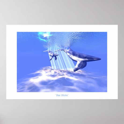 BLAUE WHALDRUCK POSTER (Vorne)