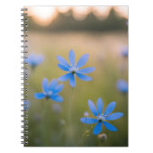 Blaue Wildblumen auf Meadow Notizblock (Vorderseite)