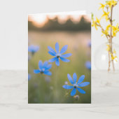 Blaue Wildblumen im Feld für Beileid Karte (Gelbe Blume)