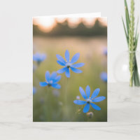 Blaue Wildblumen im Feld für Beileid