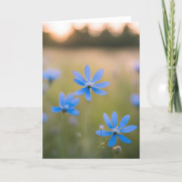Blaue Wildblumen im Feld für Beileid Karte