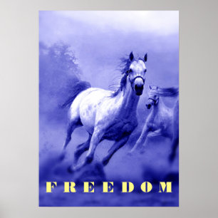 Blaue wilde Pferde Motivationskunstwerk Freiheit Poster