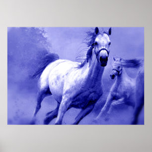 Blaue wilde Pferde Motivationskunstwerk Poster