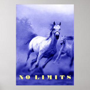 Blaue Wilde Pferde Motivierend Keine Grenzen Begre Poster