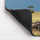 Blaue Wildebeestmigration Masai-Mara mousepads (Ecke)