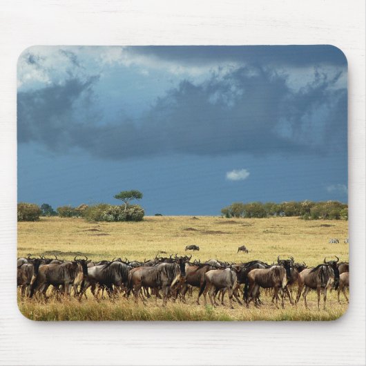Blaue Wildebeestmigration Masai-Mara mousepads (Vorne)