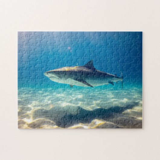 Blaue Wildhai Swim Wasser Sandreflektormeer Puzzle (Horizontal)