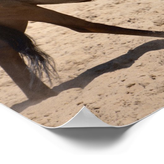 Blaue Wildnis Poster (Ecke)