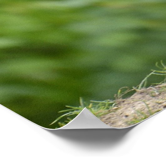 Blaue Wildnis Poster (Ecke)