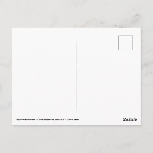 Blaue Wildnis Postkarte (Rückseite)