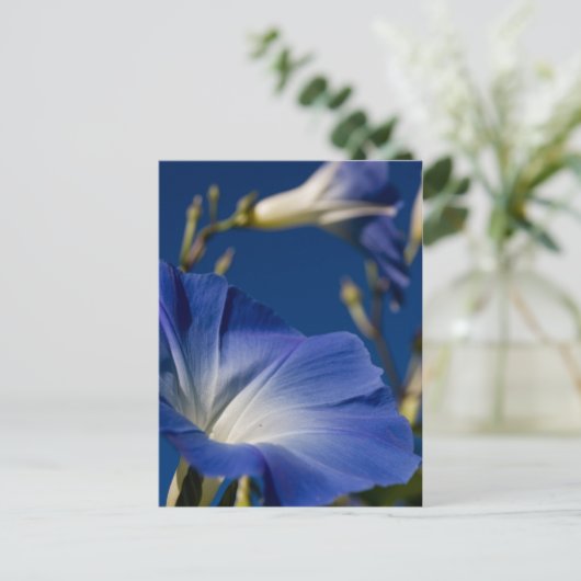 Blaue Winde Postkarte (Stehend Vorderseite)