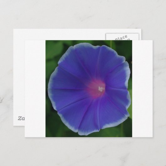 BLAUE WINDE POSTKARTE (Vorne/Hinten)