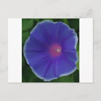 BLAUE WINDE POSTKARTE