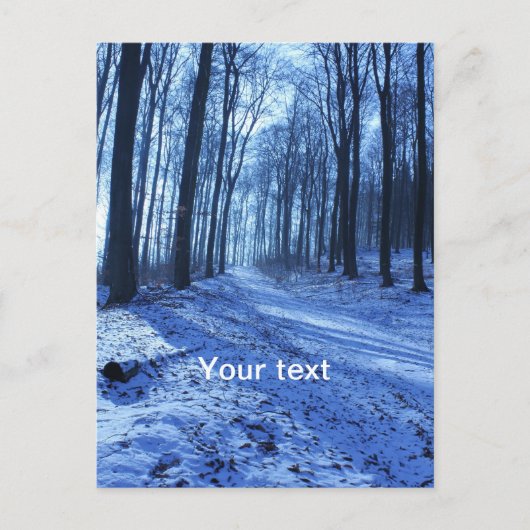 Blaue Winterlandschaft Postkarte (Vorderseite)