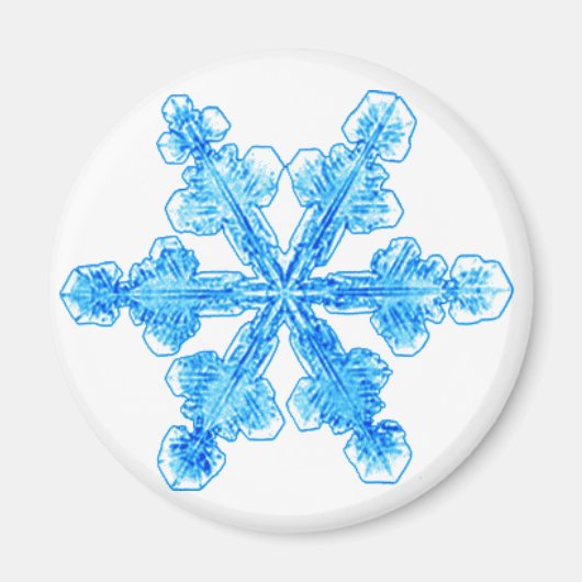 Blaue Winterschneeflocke Magnet (Vorne)