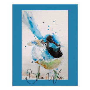 Blaue Wren-Aquarellmalerei Australische Vögel Poster
