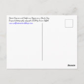 Blaue Wüstenlupine-Blume und Orangenpfeifen Postkarte (Rückseite)