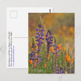 Blaue Wüstenlupine-Blume und Orangenpfeifen Postkarte