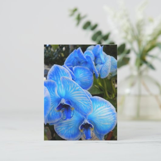 Blaue Zauber-Orchideen-Postkarte Postkarte (Stehend Vorderseite)