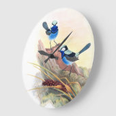 Blaue Zaunkönig-Vogel-Tier-Tier-Blumen Große Wanduhr (Winkel)