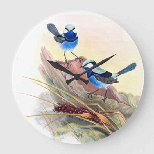 Blaue Zaunkönig-Vogel-Tier-Tier-Blumen Große Wanduhr (Vorderseite)