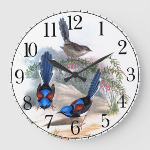 Blaue Zaunkönig-Vogel-Tier-Tier-Wanduhr Große Wanduhr