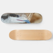 Blaue Zunge-Eidechse Skateboard (Horizontal)