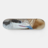Blaue Zunge-Eidechse Skateboard (Horizontal)
