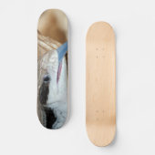 Blaue Zunge-Eidechse Skateboard (Vorderseite)