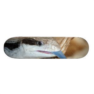 Blaue Zunge-Eidechse Skateboard