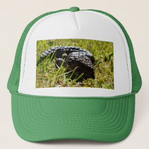 Blaue Zunge Stumpy Australischer Leguan, Truckerkappe
