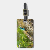 Blaue Zwergechse Calotes Mystaceus Gepäckanhänger (Vorderseite vertikal)