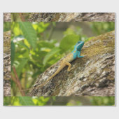 Blaue Zwergechse Calotes Mystaceus Geschenkpapier (Flach)