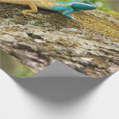 Blaue Zwergechse Calotes Mystaceus Geschenkpapier (Ecke)