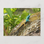 Blaue Zwergechse Calotes Mystaceus Postkarte (Vorderseite)