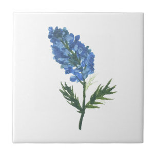 Blauebonnets Texas State Blumen Lupine Aquarell  Fliese
