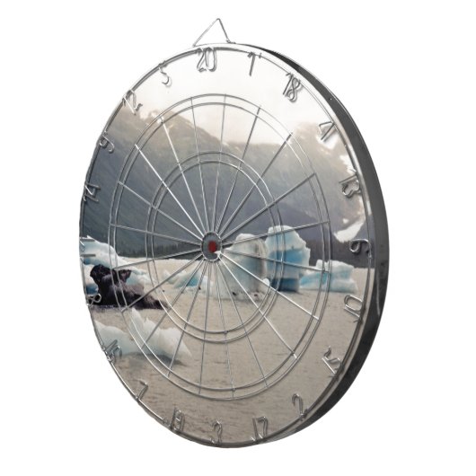 Blaueis Dartscheibe (Vorderseite rechts)